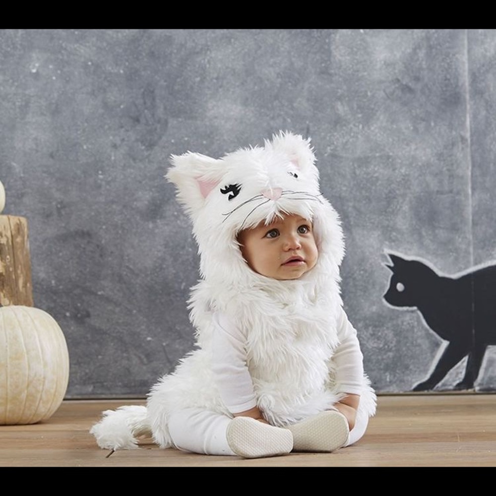 Pottery Barn Cat costume